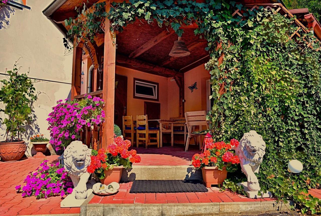 Penzion Radosov Ubytovani V Soukromi Kyselka  エクステリア 写真